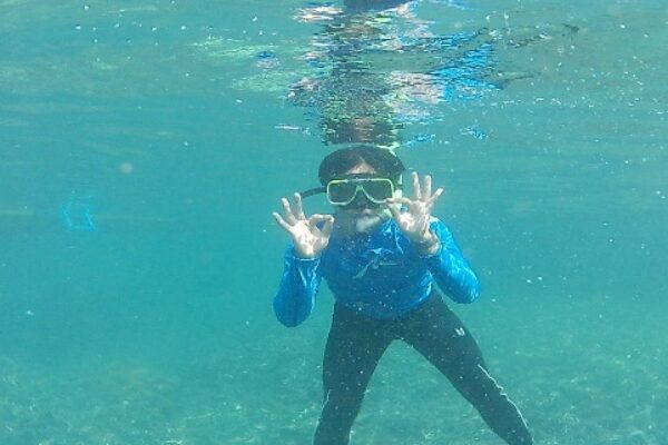 laut laut